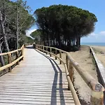 In 43485 Bibione