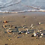 In 43485 Bibione